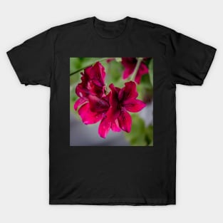 FLOWERS, NATURE’S Fashion Models T-Shirt